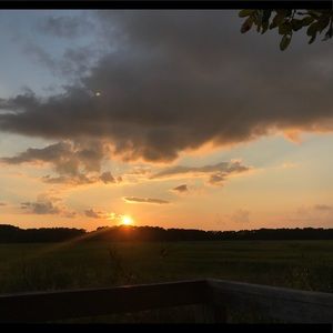 Meet your Posher, Gina